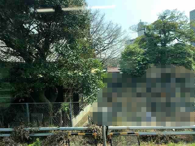 京浜東北線から-1.jpg