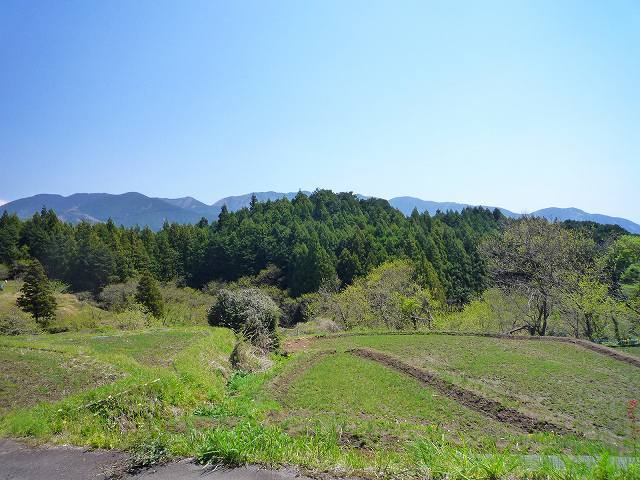 波木井山１.jpg