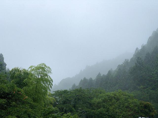 雨2.jpg
