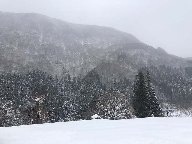雪景色1.jpg