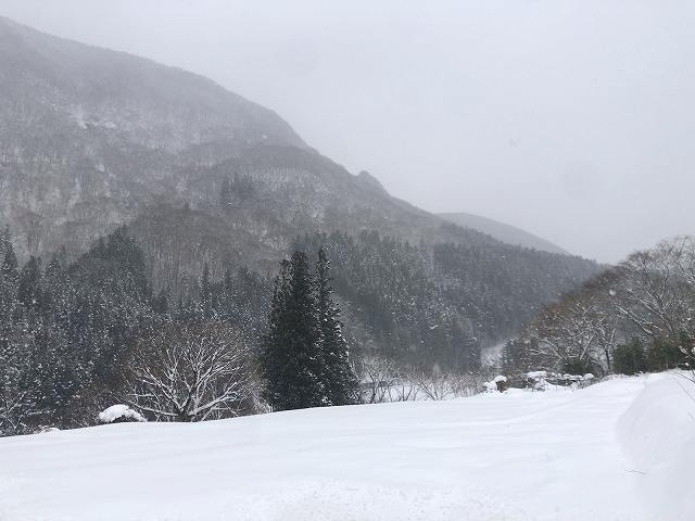 雪景色2.jpg