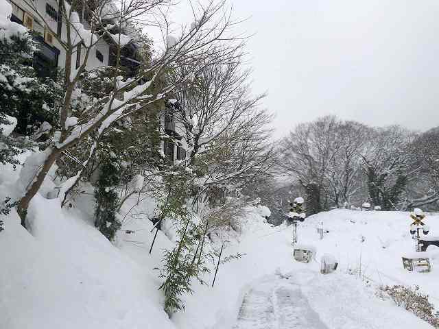 雪景色3.jpg